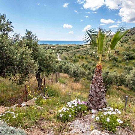Laconian Collection # Gytheio Sea View Kostantinos Apartment# Σελινίτσα Εξωτερικό φωτογραφία